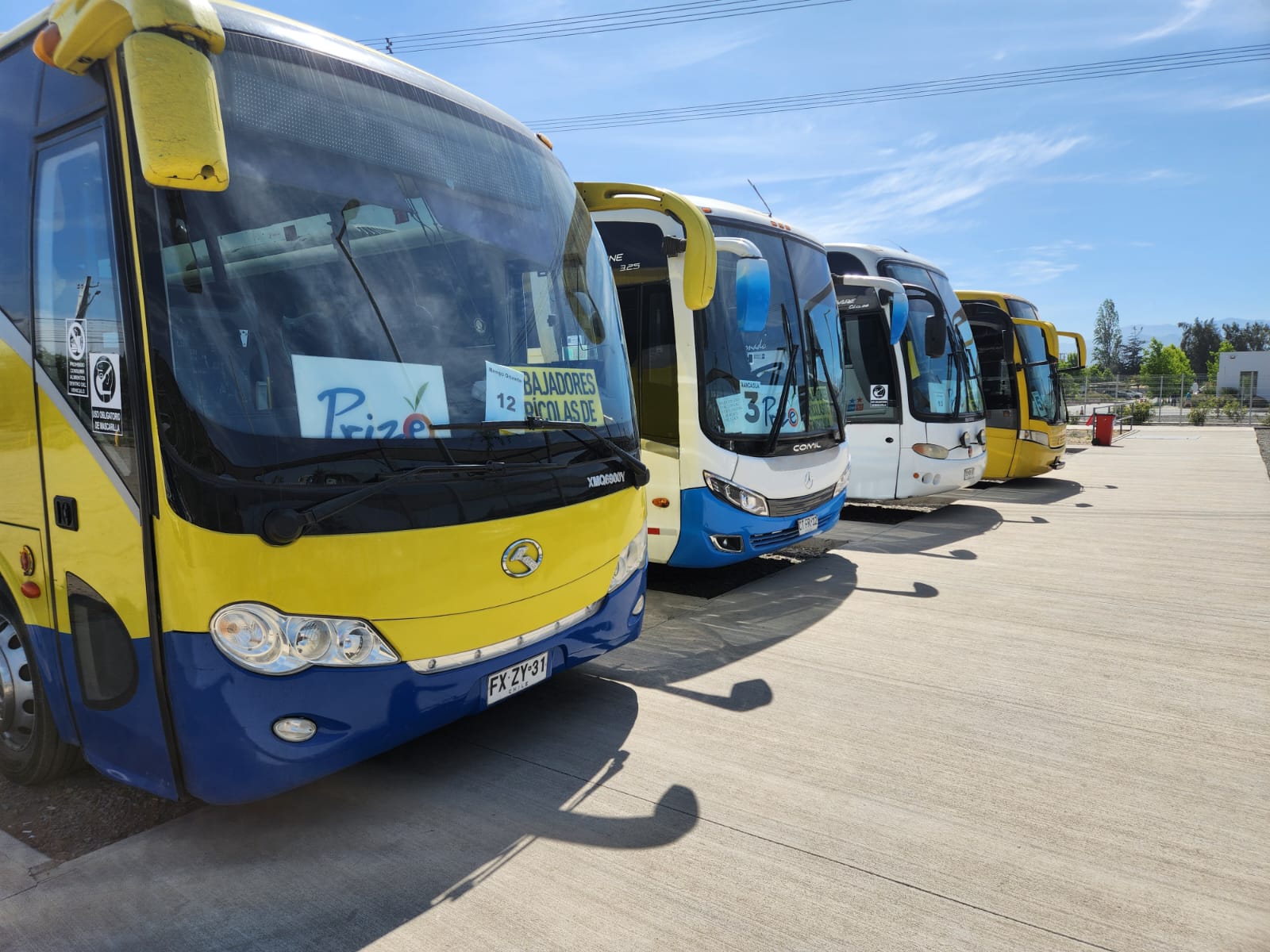 Imagen del bus